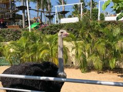 -三亚亚龙湾天域度假酒店