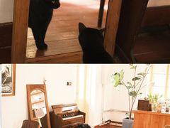 -春风十里咖啡馆