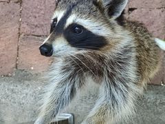 -水上乐园·欢乐世界