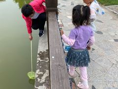 -大鹿岛