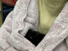 -美联众合动物医院(·中兽医·疑难杂症·严家桥分院)