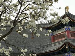 -西安市广仁寺