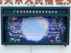 -广东惠东海龟国家级自然保护区