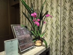 -文华东方水疗中心