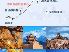 -金塔沙漠胡杨林景区