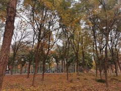 -回龙观体育文化公园