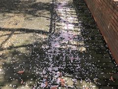 -永乐路-路侧停车场