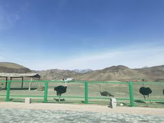 -新疆天山野生动物园