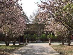 -东华门大街小区