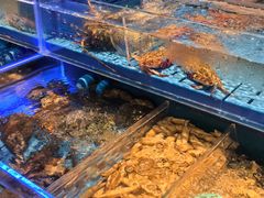 -海底捞火锅(5050购物中心店)