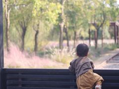 -柳鹭田园区