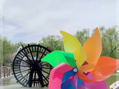 -南宫五洲植物乐园