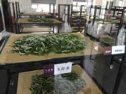 -太湖雪蚕桑文化园