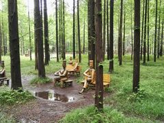 -黄海国家森林公园