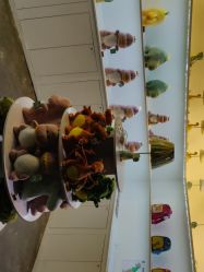 -恐龙探索乐园(磁器口店)