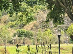 -福建鲤鱼洲酒店