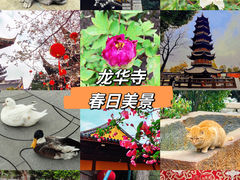 -龙华寺