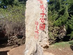 -甘井子公园