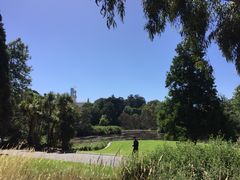 -墨尔本皇家植物园