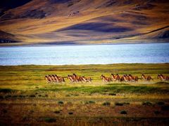 -青海湖国家重点风景名胜区