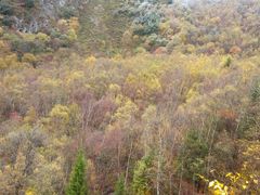 -叠溪松坪沟景区