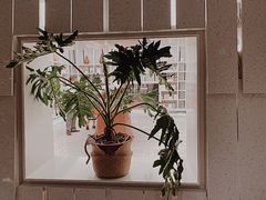 -二酉书店TOYOU BOOKS