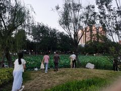 -渭滨公园