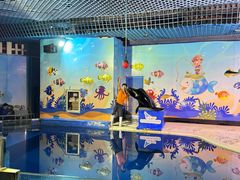 -太平洋海底世界