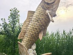 -白洋淀景区