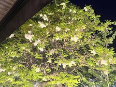 -LAMP BAR 水烟音乐酒吧