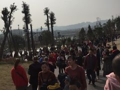 -枫香湖儿童公园