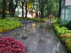 -北外滩滨江绿地