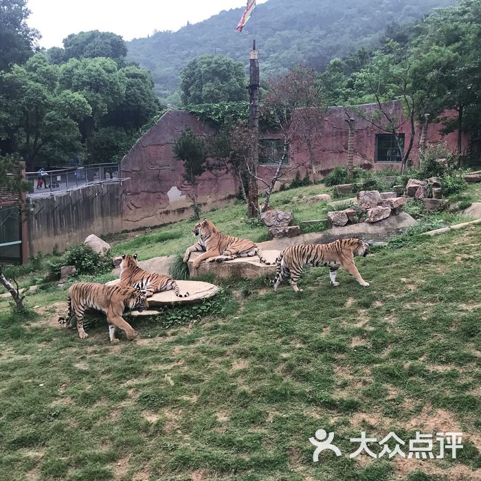 無錫動物園·太湖歡樂園