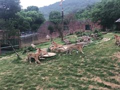 -无锡动物园·太湖欢乐园