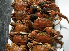 -开禾52阿伟海鲜加工