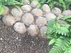 -延庆地质公园博物馆