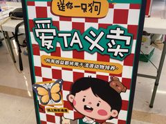 -凯德MALL(望京店)