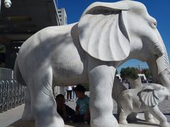 -石家庄市动物园