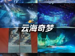 -重庆国际马戏城