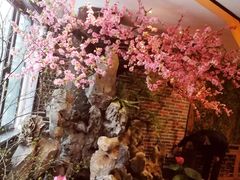 -富侨养生(光大会展店)