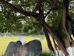 -龙头寺公园