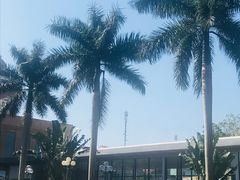 -东兴口岸-中越友谊大桥