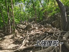 -紫金山山顶公园