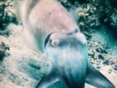 -同济大学四平路校区深海探索馆