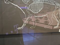-北京周口店北京人遗址博物馆