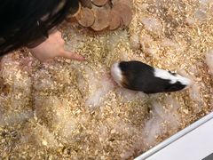 -白鹤梁水下博物馆