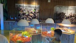 -七巧国萌宠乐园(龙湖天街店)
