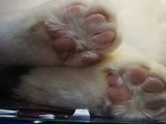 -乐宠宠物店(世纪金源店)