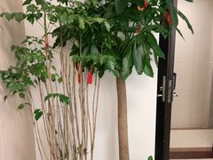 -感智盲人按摩·艾灸·肩颈SPA(岗厦店)
