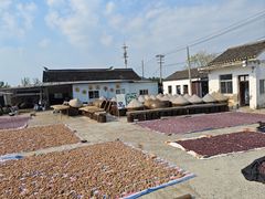 -苏州市吴中区光福窑上花果蜜饯厂